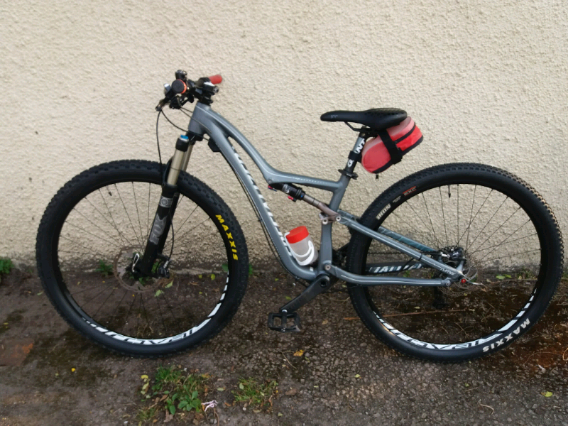 specialized rumor expert